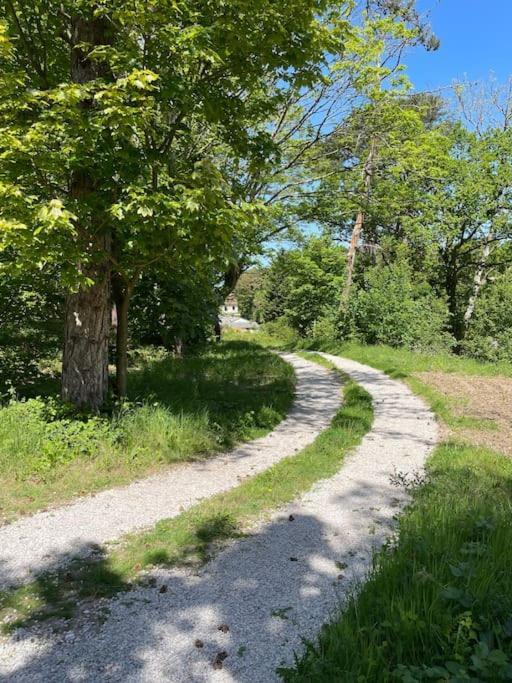 Magnifique Villa Dans La Foret 8 Pers Wifi Neufchâtel-Hardelot Eksteriør bilde